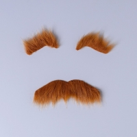 Карнавальные усы с бровями, цвет коричневый Карнавальные усы с бровями, цвет коричневый