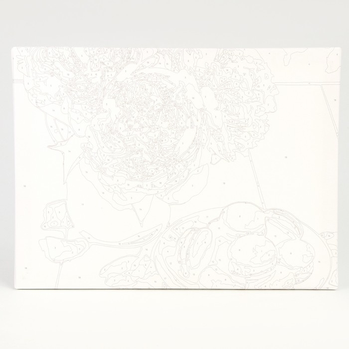 Картина по номерам на холсте с подрамником &laquo;Макаруны и цветы&raquo;, 40 х 30 см