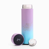 Термос, 500 мл, Basic "Мастер К", с ситечком, с датчиком температуры, сохраняет тепло 8 ч Термос, 500 мл, Basic "Мастер К", с ситечком, с датчиком температуры, сохраняет тепло 8 ч