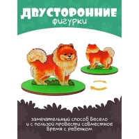 Игровой набор в коробке «Собаки декоративные» Игровой набор в коробке «Собаки декоративные»