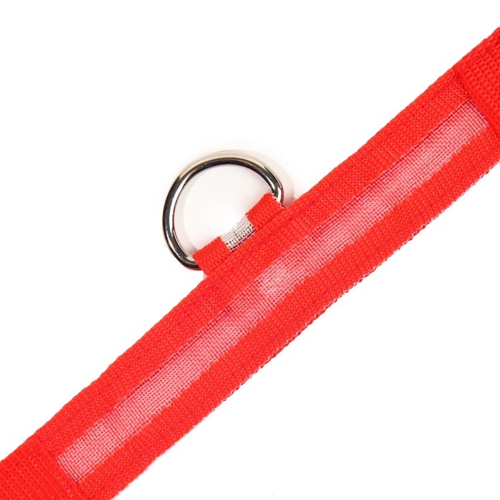 Ошейник с подсветкой размер S, ОШ 35-43 х 2,5 см, 3 режима свечения красный Ошейник с подсветкой размер S, ОШ 35-43 х 2,5 см, 3 режима свечения красный