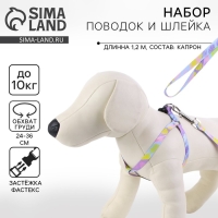 Комплект &laquo;Листья&raquo;, шлейка 24-36 см, поводок 120х1 см