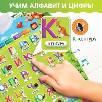 Обучающий плакат &laquo;ZOO-Азбука&raquo;, в пакете