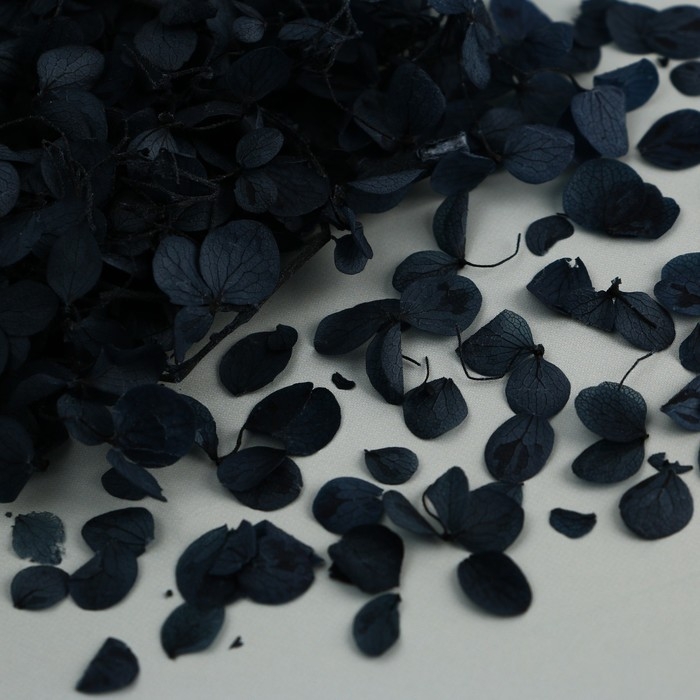 Набор для создания поддона из гипса с сухоцветами &laquo;Шестиугольник&raquo;