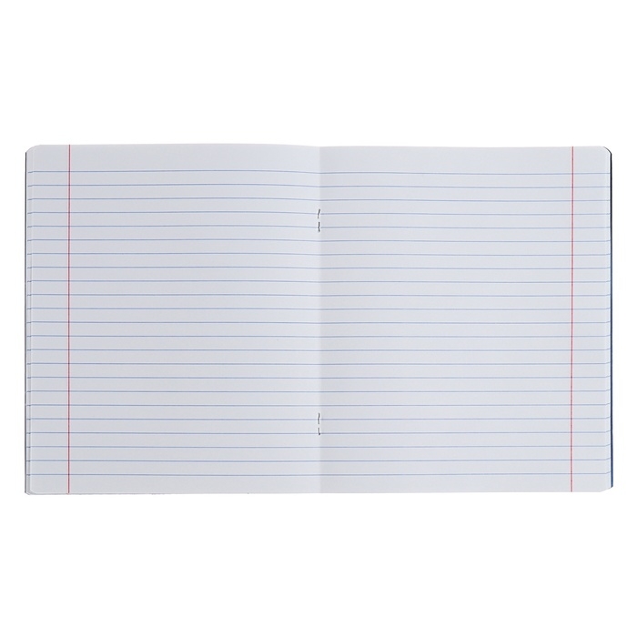 Тетрадь предметная РУССКИЙ ЯЗЫК, 48 листов в линейку, ErichKrause Manga, обложка мелованный картон, твин-лак, блок офсет 100% белизна, инфо-блок