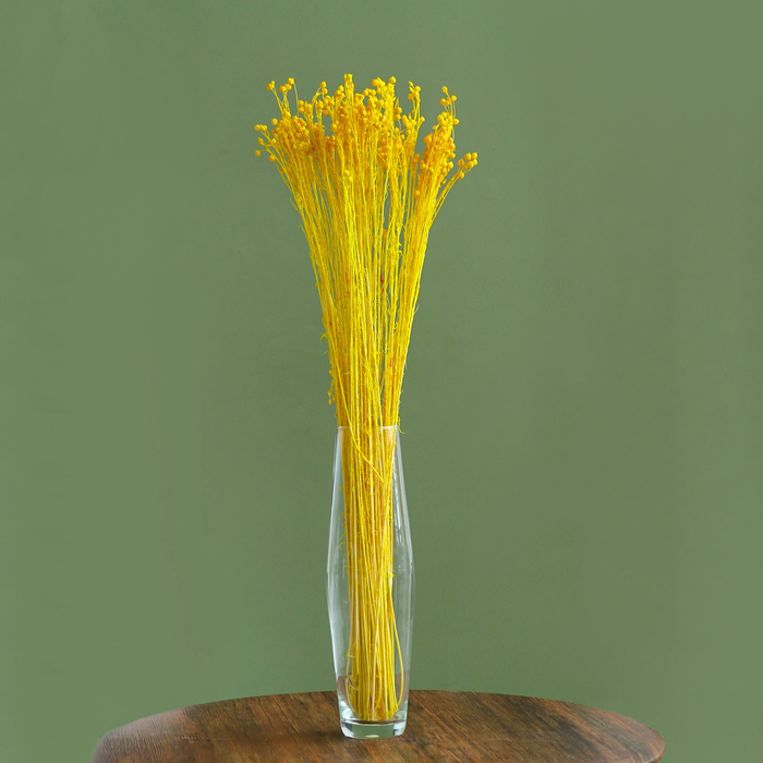 Сухоцвет «Абрус» набор 24 шт, цвет желтый Сухоцвет «Абрус» набор 24 шт, цвет желтый