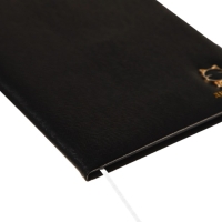 Дневник универсальный для 1-11 класса Kitty, твёрдая обложка, искусственная кожа, с поролоном, тиснение фольгой, ляссе, 80 г/м2 Дневник универсальный для 1-11 класса Kitty, твёрдая обложка, искусственная кожа, с поролоном, тиснение фольгой, ляссе, 80 г/м2