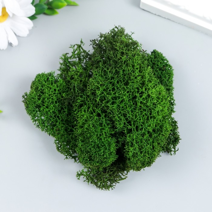 Мох стабилизированный "Крапива" 45 гр (+-5 гр)