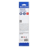Набор кистей, синтетика, 5 штук, BRAUBERG (круглая, № 1, 2, 5, плоская № 5, 8), блистер Набор кистей, синтетика, 5 штук, BRAUBERG (круглая, № 1, 2, 5, плоская № 5, 8), блистер