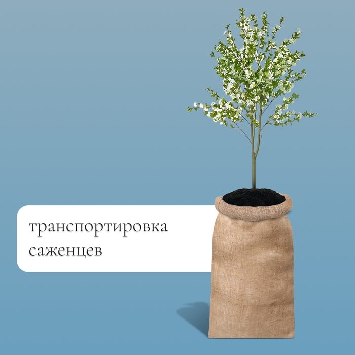 Мешок джутовый, 50 × 90 см, плотность 260 г/м², плетение 46 × 34 нити, с завязками Мешок джутовый, 50 × 90 см, плотность 260 г/м², плетение 46 × 34 нити, с завязками