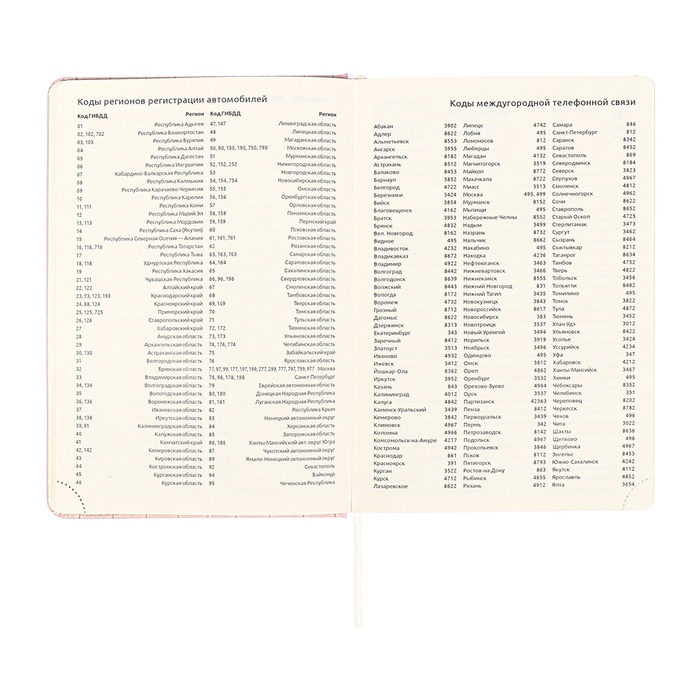 Ежедневник датированный 2025 A5 168 листов, deVENTE.Barbara, твердая обложка кожзам с поролоном, хлястик, перфорация, ляссе, блок 70, розовый