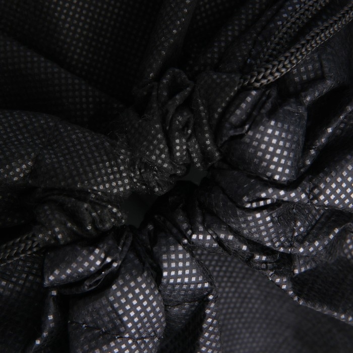 Мешок для обуви &laquo;1 сентября: SHOES BAG&raquo; с прозрачным окном 30 х 40 см