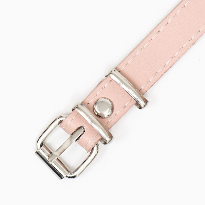 Намордник пластиковый №3 с ошейником из эко кожи ОМ 24 см ДН 8 см ОШ 39-52 см