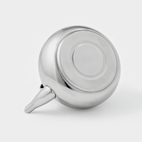 Заварочный чайник Доляна &laquo;Гретель&raquo;, 1,6 л, металлическое сито, нержавеющая сталь, хромированный