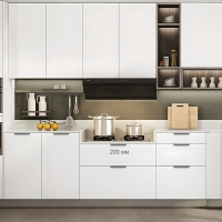 Ручка торцевая CAPPIO RT002, L=200 мм, м/о 160 мм, цвет серый