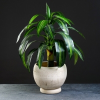 Горшок цветчоный "Шар средний", 8 л, диаметр 25 см, высота 21 см Горшок цветчоный "Шар средний", 8 л, диаметр 25 см, высота 21 см