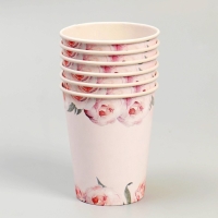 Набор бумажной посуды одноразовый Нежные пионы&raquo;