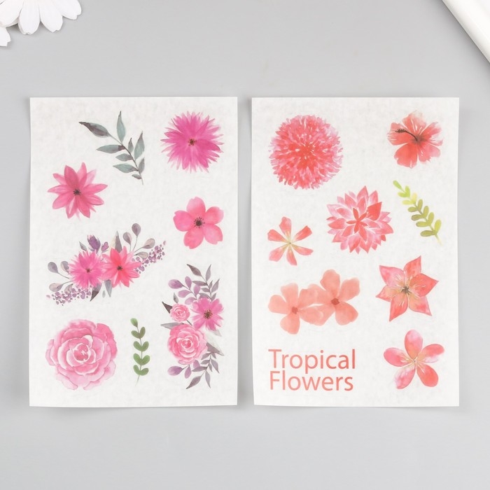 Наклейка бумага Наклейка бумага "Ароматные цветы" набор 6 листов 18,6х10 см