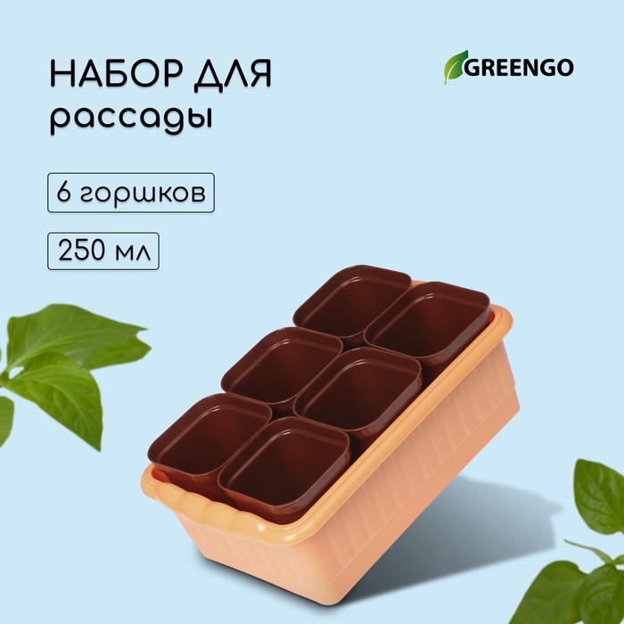 Набор для рассады: стаканы по 250 мл (6 шт.), контейнер 24 &times; 16 см, МИКС