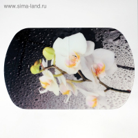 Стол раздвижной с фп Орхидея белая, 1100/1500х700х777, стекло/пояс венге/ноги хром прямые Стол раздвижной с фп Орхидея белая, 1100/1500х700х777, стекло/пояс венге/ноги хром прямые