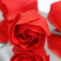 Мыльные розочки, красные, набор 9 шт. Мыльные розочки, красные, набор 9 шт.