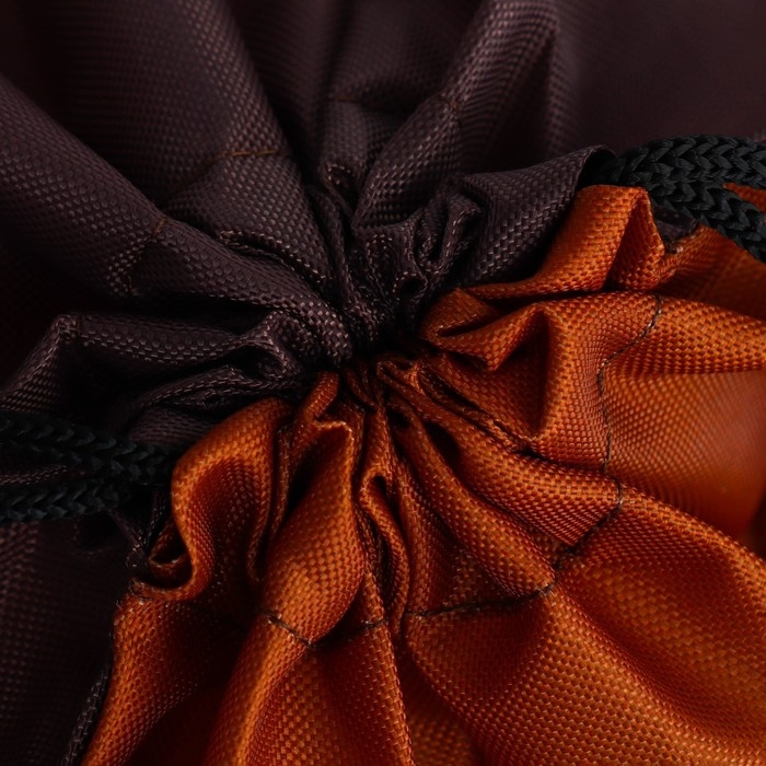 Мешок для обуви &laquo;1 сентября: Teddy Bear&raquo; с дополнительными элементами, 30 х 40 см