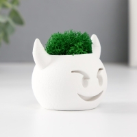 Кашпо бетонное "Чертик" 6,5х6х5,5 см белый со мхом (мох зелен. стабилизир) Кашпо бетонное "Чертик" 6,5х6х5,5 см белый со мхом (мох зелен. стабилизир)