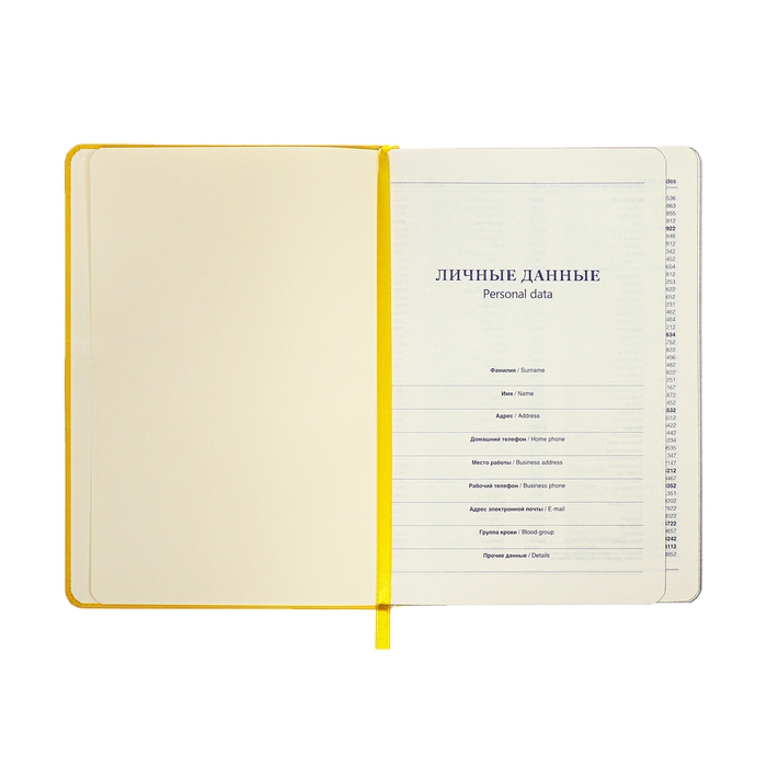 Ежедневник недатированный A5, 140л, клетка, кожзам, на резинке, черный срез, Желтый Ежедневник недатированный A5, 140л, клетка, кожзам, на резинке, черный срез, Желтый