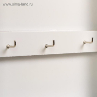 Ключница дерево "Домик с розовым садом" 30х22х6 см