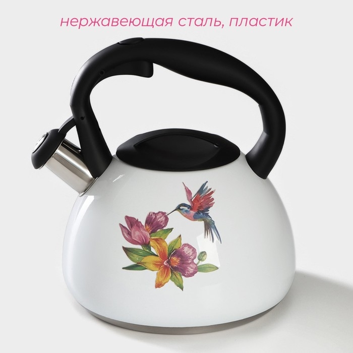 Чайник со свистком из нержавеющей стали Доляна &laquo;Колибри&raquo;, 3 л, с индикатором нагрева