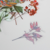 Наклейки для творчества пластик PVC "По лесным тропам" набор 40 шт 9х10.5 см