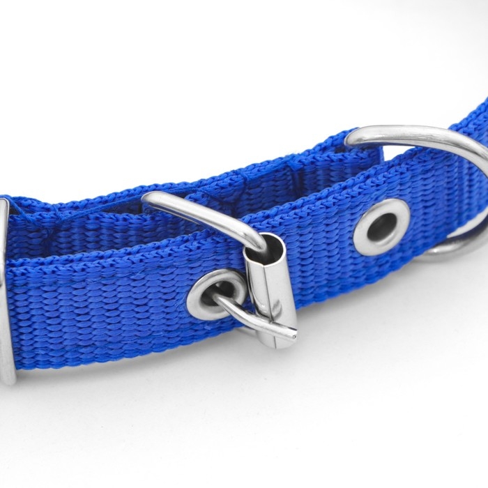 Ошейник "Комфорт" комбинированный (полиэстер, искусств. кожа), 45 х 2 см, ОШ 30-39 см, синий