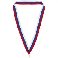 Лента с карабином Champ, триколор Лента с карабином Champ, триколор