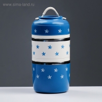 Ланч-бокс "Котята", 1.23 л, сохраняет тепло 4 ч, 11.5 х 23 см, микс Ланч-бокс "Котята", 1.23 л, сохраняет тепло 4 ч, 11.5 х 23 см, микс