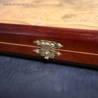 Нарды средние &laquo;Медведь&raquo; 50 &times; 50 см