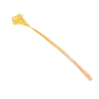 Сухоцвет &laquo;Батао&raquo; набор 20 шт., цвет жёлтый