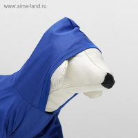 Комбинезон для животных, без подклада, XL, ДС 32-34, ОШ 32, ОГ 46-48 см, синий