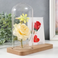 Фоторамка 9х13 см свет "Белая роза в колбе" от батареек 2хLR1130 9,8х19,5х18 см