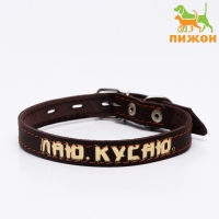 Ошейник кожаный однослойный, тиснёный «Лаю. Кусаю», 48х2, ОШ 32-43 см, коричневый с золотом Ошейник кожаный однослойный, тиснёный «Лаю. Кусаю», 48х2, ОШ 32-43 см, коричневый с золотом