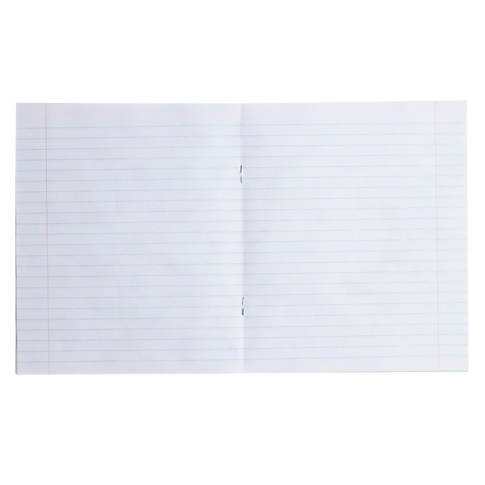 Комплект тетрадей из 20 штук, 12 листов в линию КПК Комплект тетрадей из 20 штук, 12 листов в линию КПК "Зёленая обложка", блок офсет, белизна 90%