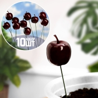 Набор штекеров "Яблоко" 10шт, 3см, длина 25см Набор штекеров "Яблоко" 10шт, 3см, длина 25см