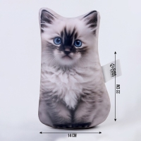 Антистресс игрушка «Котик Рэгдолл» Антистресс игрушка «Котик Рэгдолл»