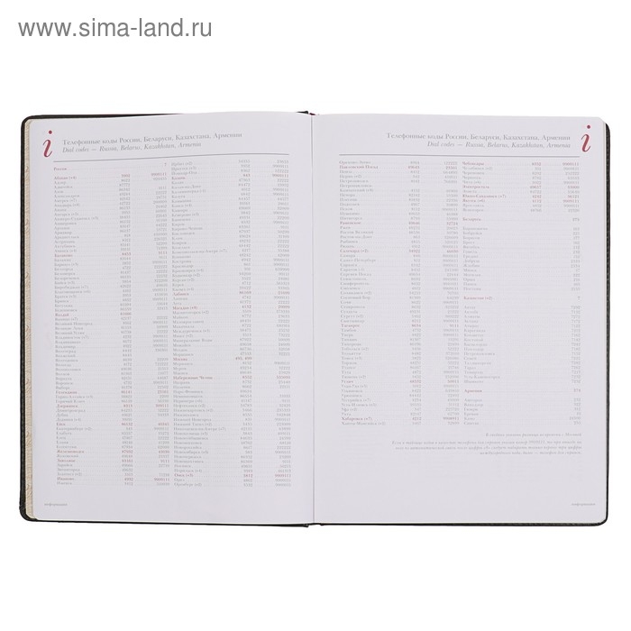 Ежедневник недатированный А4, 136 листов Sidney Nebraska, твёрдая обложка, искусственная кожа, золотой срез, ляссе, чёрный