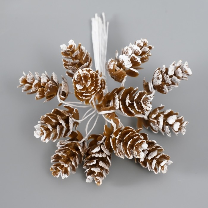 Декор для творчества Декор для творчества "Шишки" (1 набор=1 букет) в букете 12 шт 11х2х2см