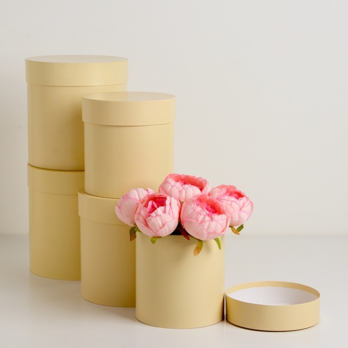 Набор круглых коробок 5в1 Набор круглых коробок 5в1 "Ваниль перламутровая", 20 × 20 ‒15 × 15 см