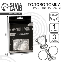 Головоломка Игры разума &laquo;Раздели на части&raquo; №4