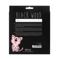 Карандаши 24 цвета BlackWoodColor, пластиковые, трёхгранные, МИКС Карандаши 24 цвета BlackWoodColor, пластиковые, трёхгранные, МИКС
