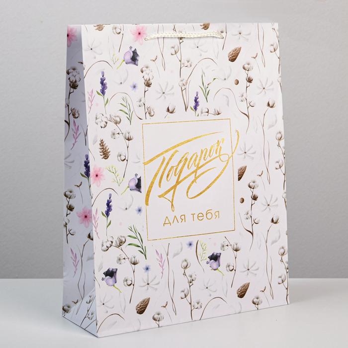 Пакет подарочный ламинированный, упаковка, Gift for you, L 28 х 38 х 9 см