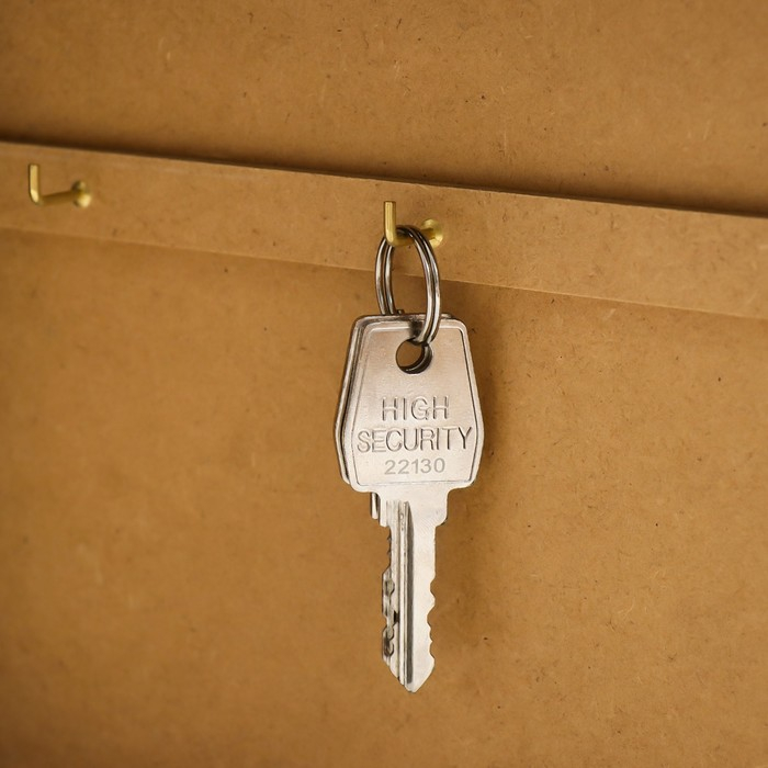 Ключница "Исаакиевский собор" венге 19х24 см МИКС