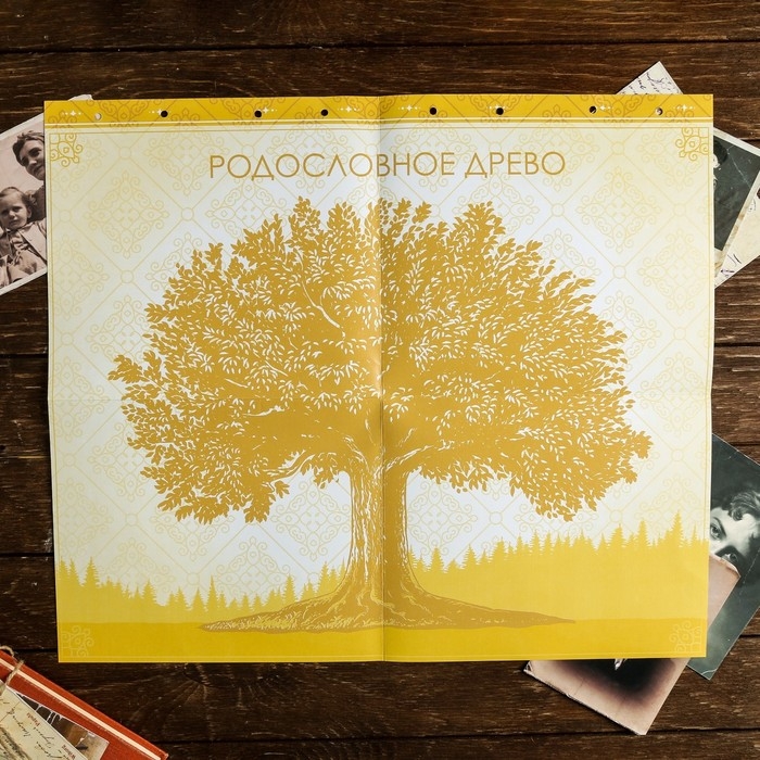 Родословная книга &laquo;Семейная&raquo;, с деревянным элементом, 84 страницы, 24,5 х 23 х 4 см.